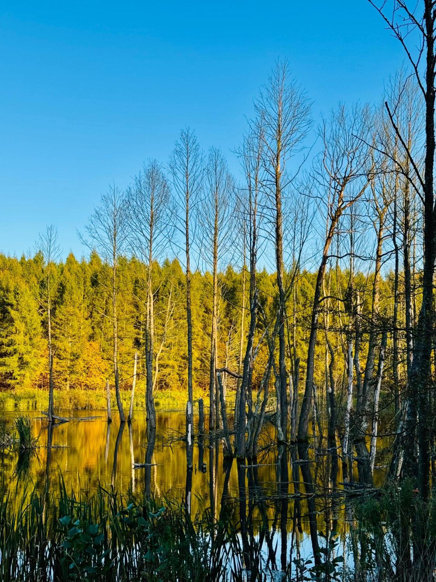 Folwark Wierzchy Buitenkant foto
